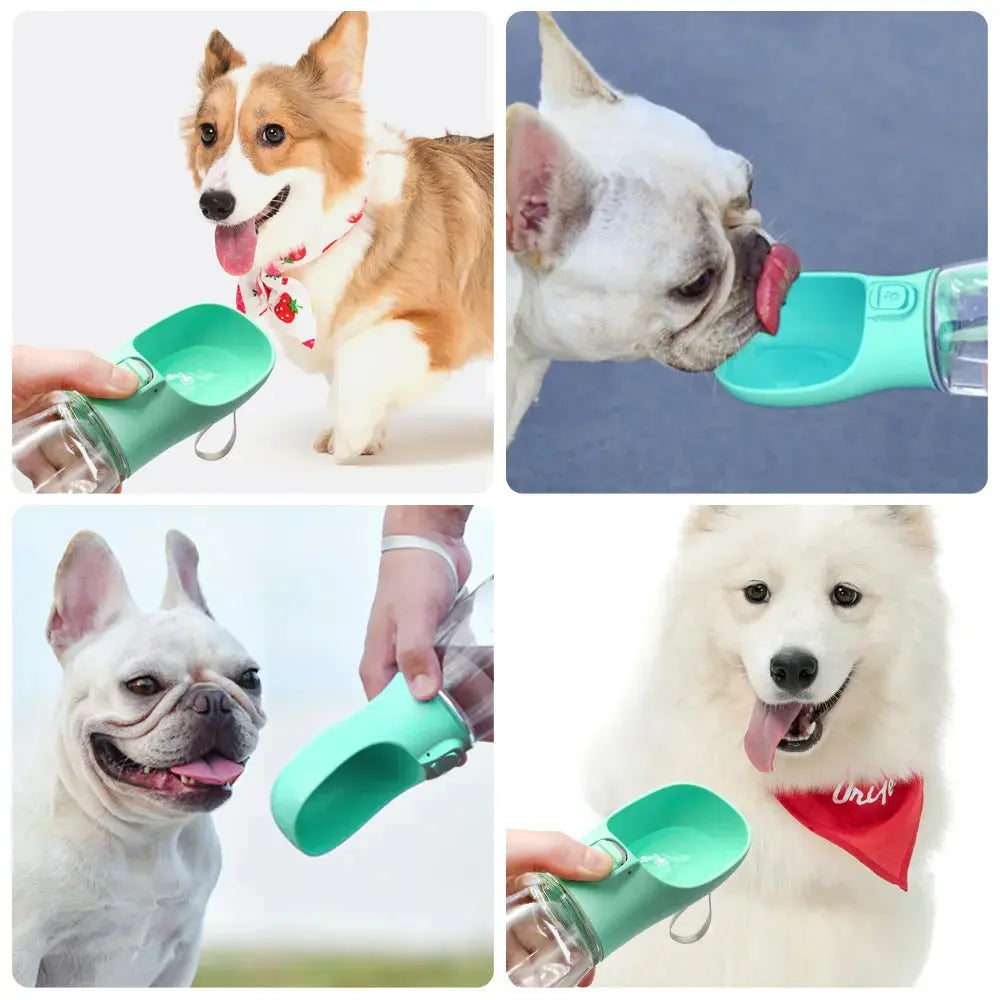 HydraPup Portable Bottle