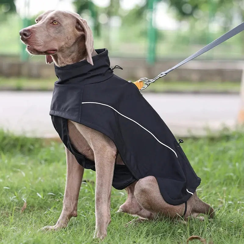TripleShield Softshell Pet Jacket - Water-Resistant & Warm
