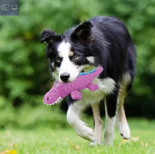 MegaBite™ For Aggressive Chewers