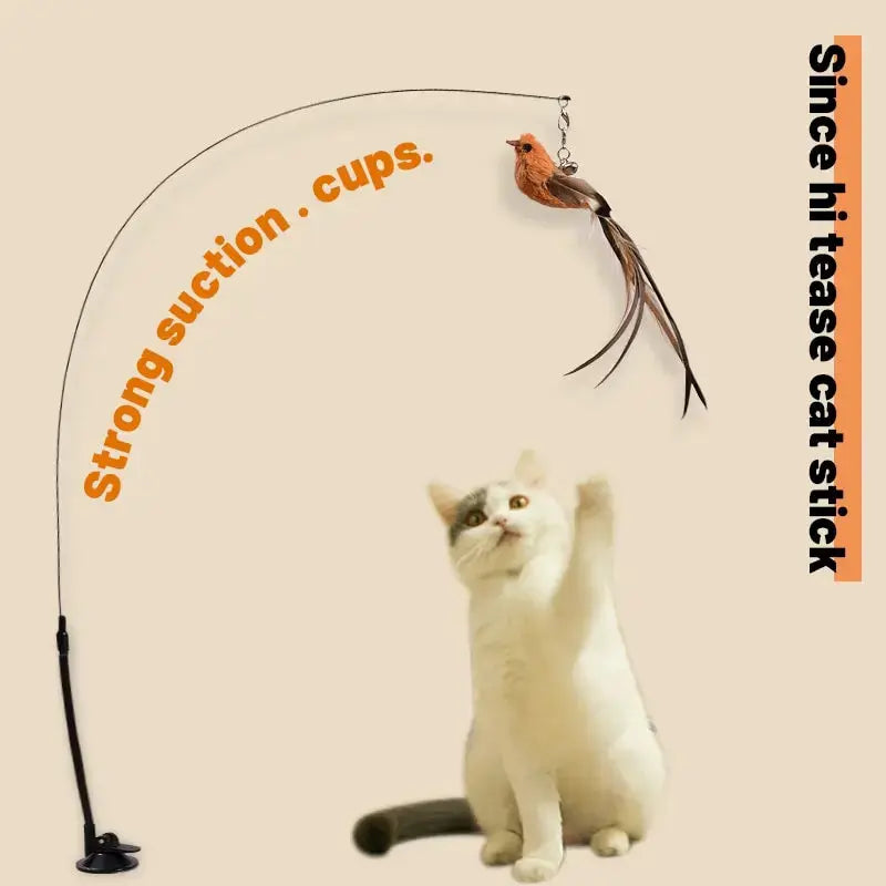 Hands-Free Cat Teaser: Keep Your Feline Entertained with Ease