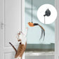 Hands-Free Cat Teaser: Keep Your Feline Entertained with Ease