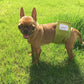 Washable Dog Belly Band – Absorbent Adjustable Diapers for Male Dogs