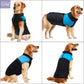 Winter Dog Vest with Zipper – Waterproof & Available in Sizes S-7XL