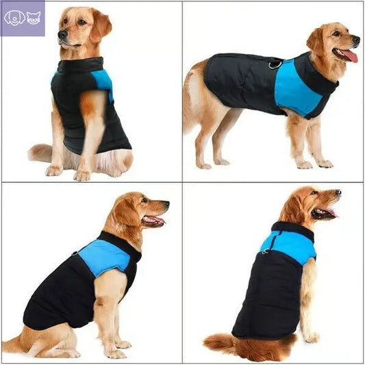 Winter Dog Vest with Zipper – Waterproof & Available in Sizes S-7XL