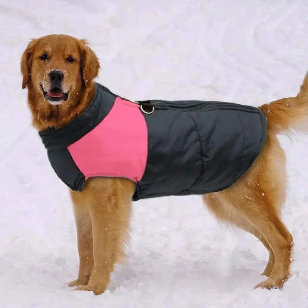 Winter Dog Vest with Zipper – Waterproof & Available in Sizes S-7XL