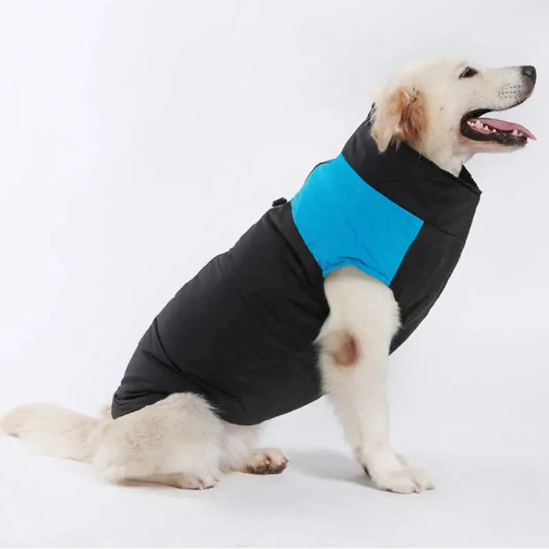 Winter Dog Vest with Zipper – Waterproof & Available in Sizes S-7XL