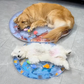 ChillTailz Water Bed™