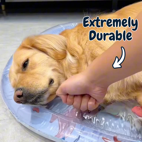ChillTailz Water Bed™