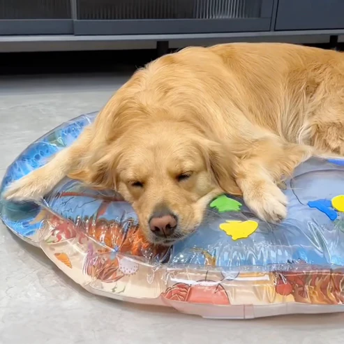 ChillTailz Water Bed™