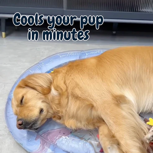 ChillTailz Water Bed™